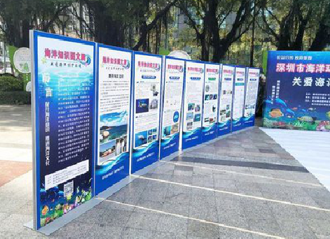 古田KT板的种类和知识。